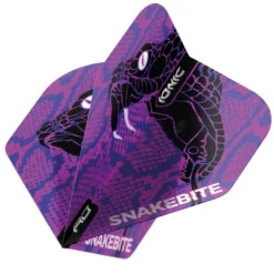 Red Dragon Darts Peter Wright Purple Snake Head Ionic Hardcore Standard
