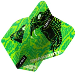 Red Dragon Darts Peter Wright Green Snake Head Ionic Hardcore Standard