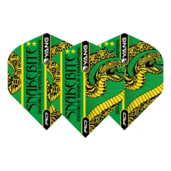 Red Dragon Darts Peter Wright Orange & Green Yin Yang Standard -Darts Promotion Store F6966PeterWrightOrange GreenYinYang3