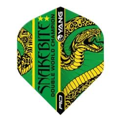 Red Dragon Darts Peter Wright Orange & Green Yin Yang Standard -Darts Promotion Store F6966PeterWrightOrange GreenYinYang5