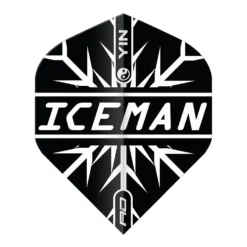 Red Dragon Darts Gerwyn Price Black & White Yin Yang Standard -Darts Promotion Store F6969GerwynPriceBlack WhiteYinYang6