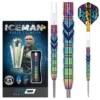 Red Dragon Darts Gerwyn Price Ionic