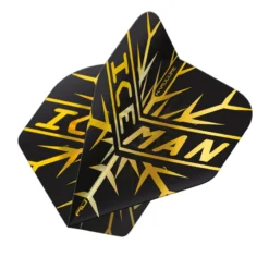 Red Dragon Darts Gerwyn Price Gold Snowflake Hardcore Premium Standard